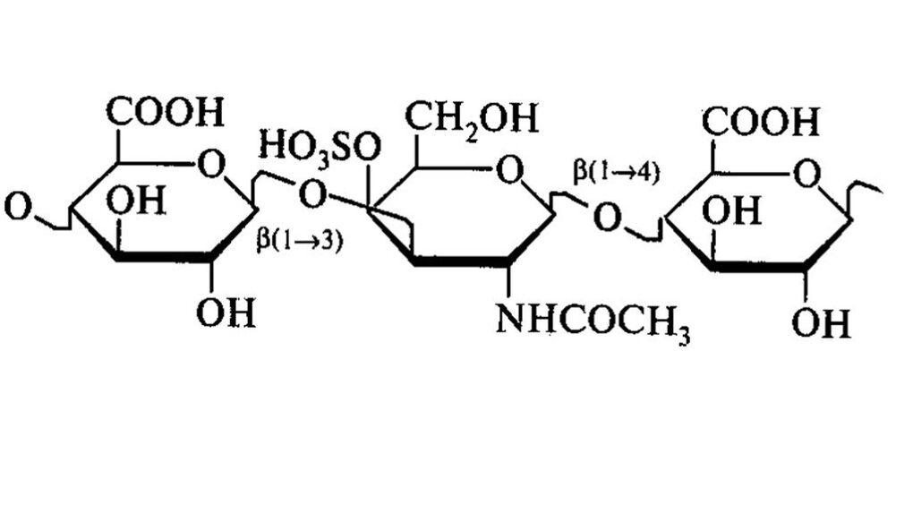 Chondroitine in OstyHealth